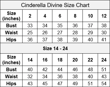 Plus Size Off Shoulder Metallic Gown by Cinderella Divine CD210C