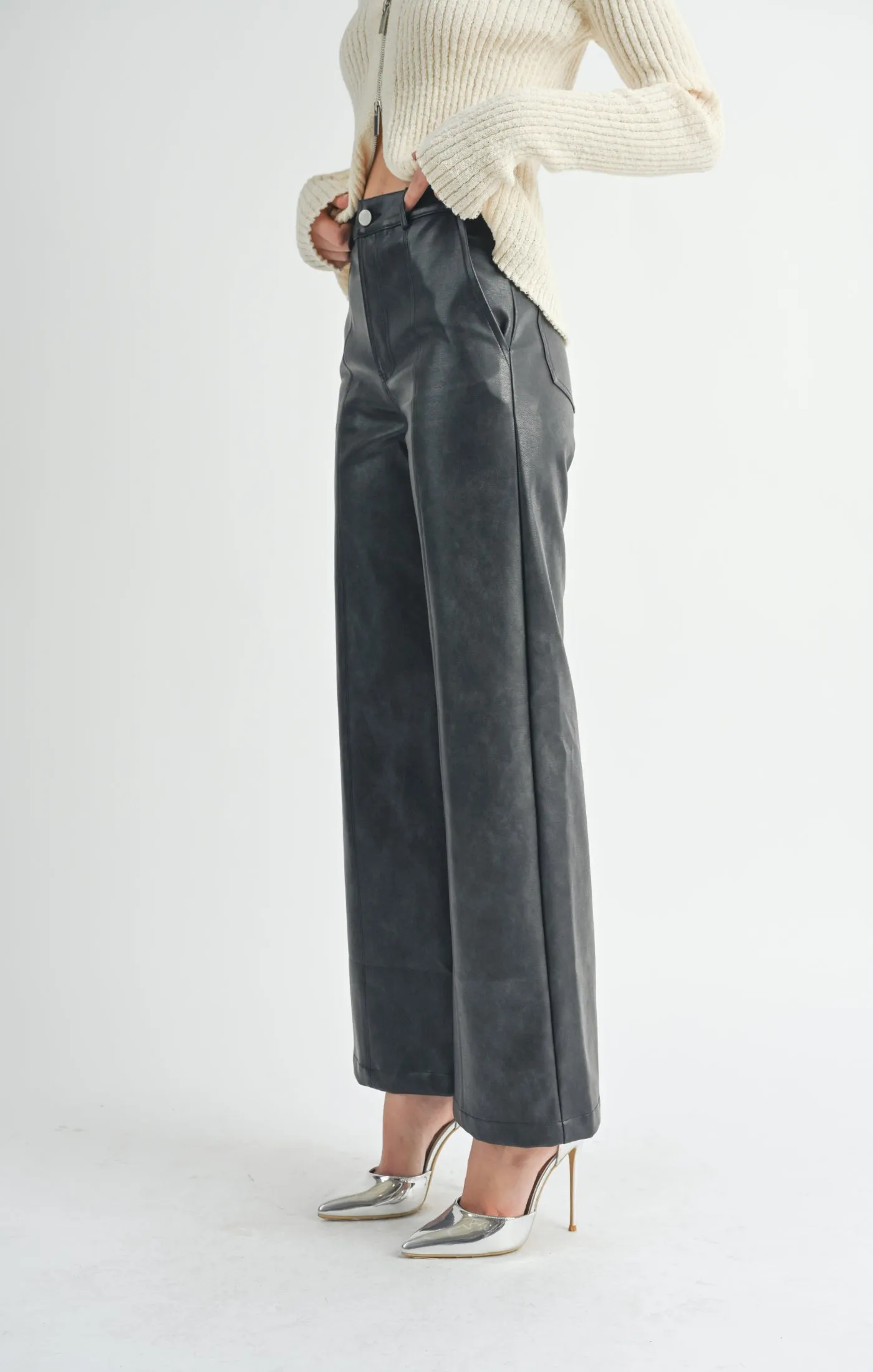 Rebel Seamed Vegan Leather Pants